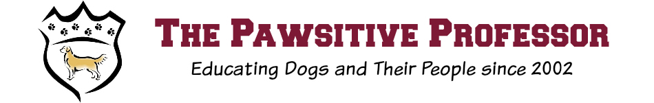 The Pawsitive Professor Logo
